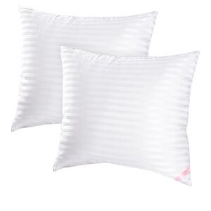 White Pillow Inserts SQUARE 20x20” (2-Pack)